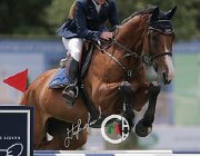 Gresele Trust in me CsioArJYR SS7 7423 : CSIO Giovani Arezzo, Gresele Bianca, Trust in me, foto Stefano Secchi ©